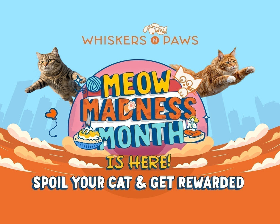 Don't Miss it! Meow Madness Month 2026 at Whiskers 'N Paws has Arrived!