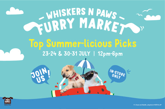 WNP Furry Market: Top Summerlicious Picks