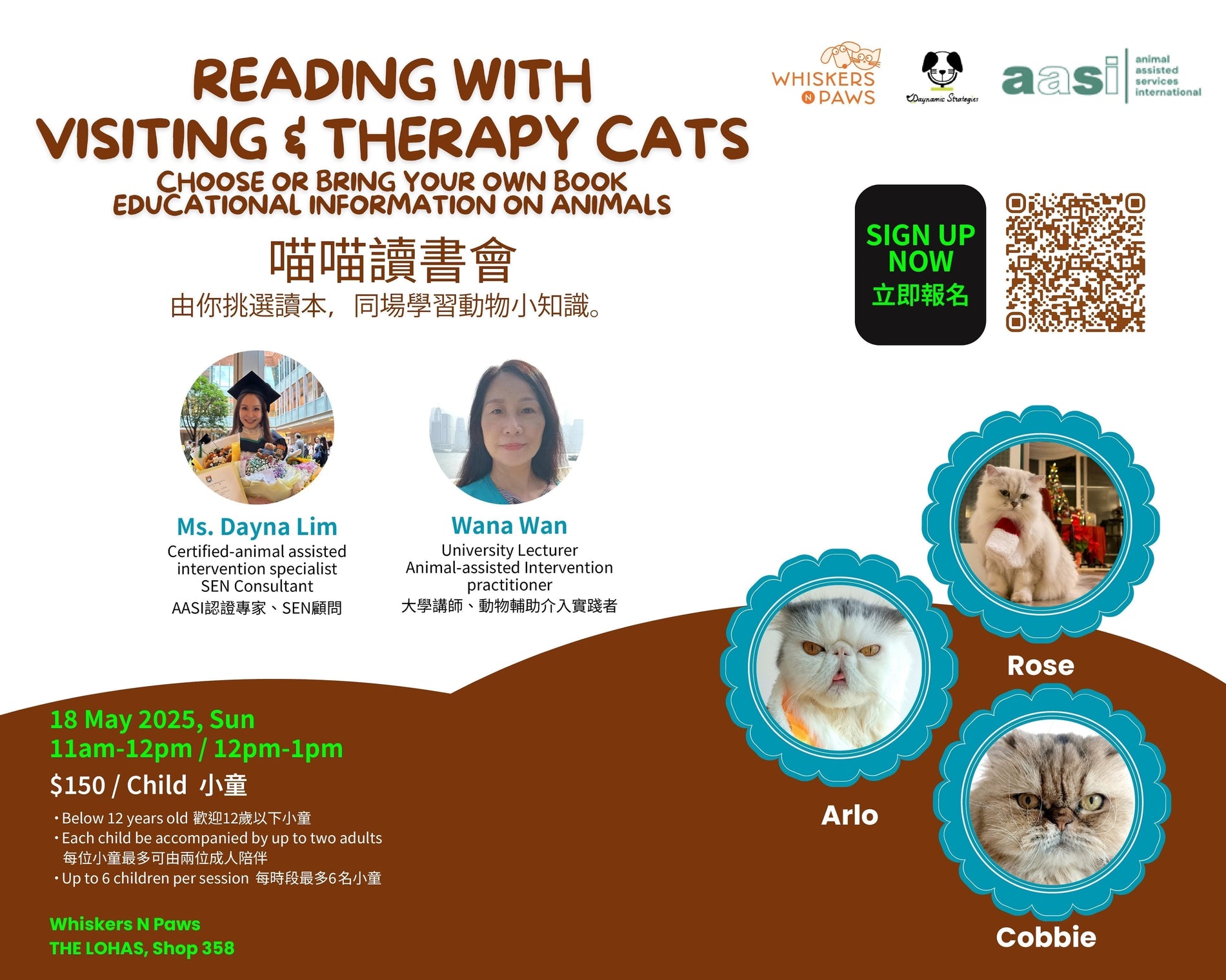 Reading with visiting therapy cats
