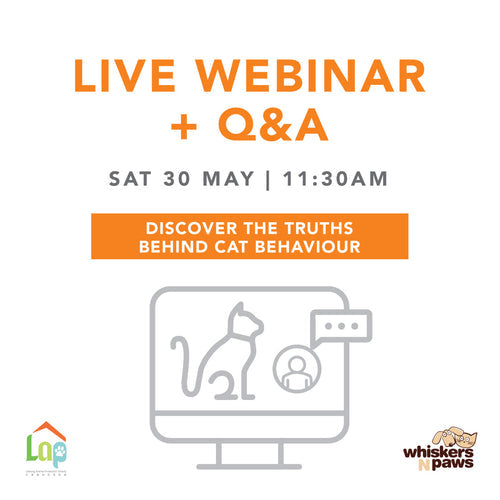 Discover the Truths Behind Cat Behaviour [ENGLISH SESSION]