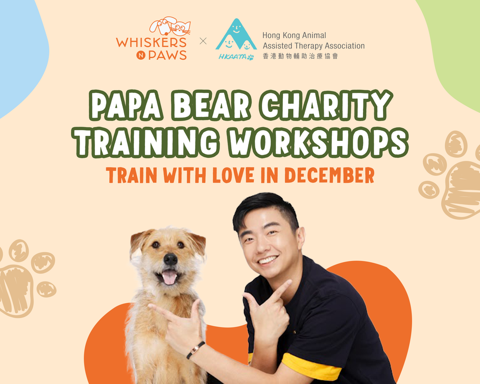 Whiskers N Paws x HKAATA Papa Bear Charity Training Workshops