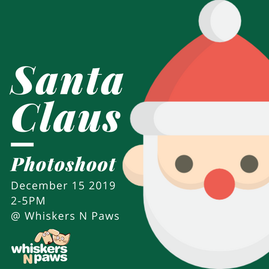 Santa Claus Photoshoot 2019