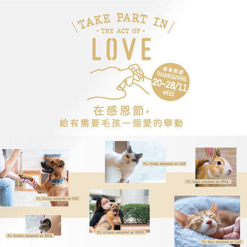 TAKE PART IN THE ACT OF LOVE DURING THANKSGIVING WEEK