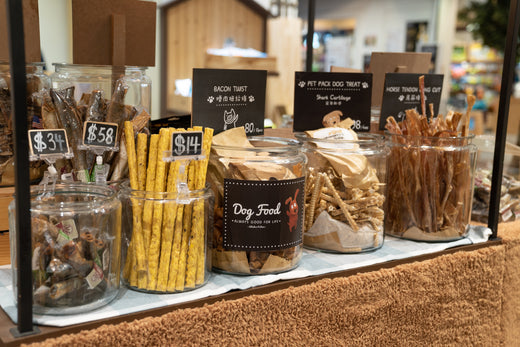 Dog Food 101: What’s For Dinner? 5 Main Types of Dog Food to Choose From