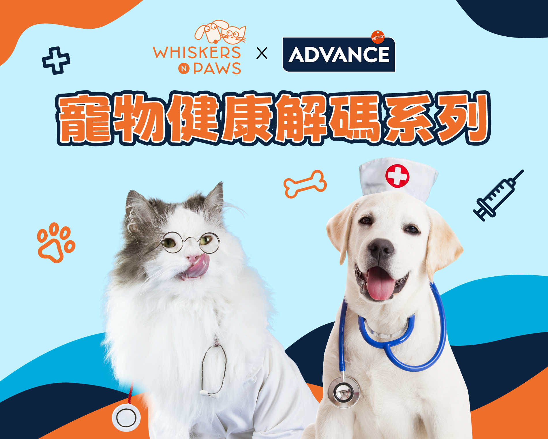 【 WNP x Advance 寵物健康解碼系列 】 貓狗食物敏感難察覺、難根治 獸醫拆解飲食秘訣防敏關鍵