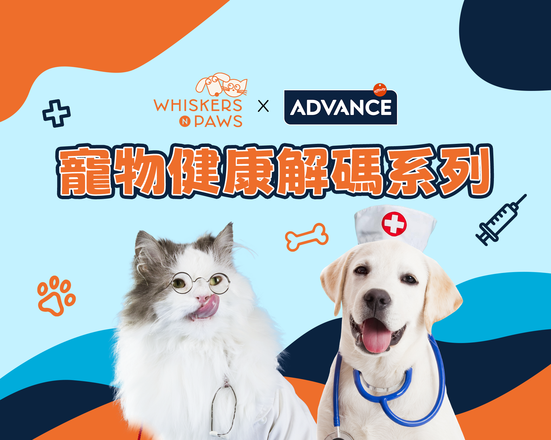 【 WNP x Advance 寵物健康解碼系列 】 毛孩健康秘訣！獸醫教你揀啱糧 從「腸」計議提升免疫力！