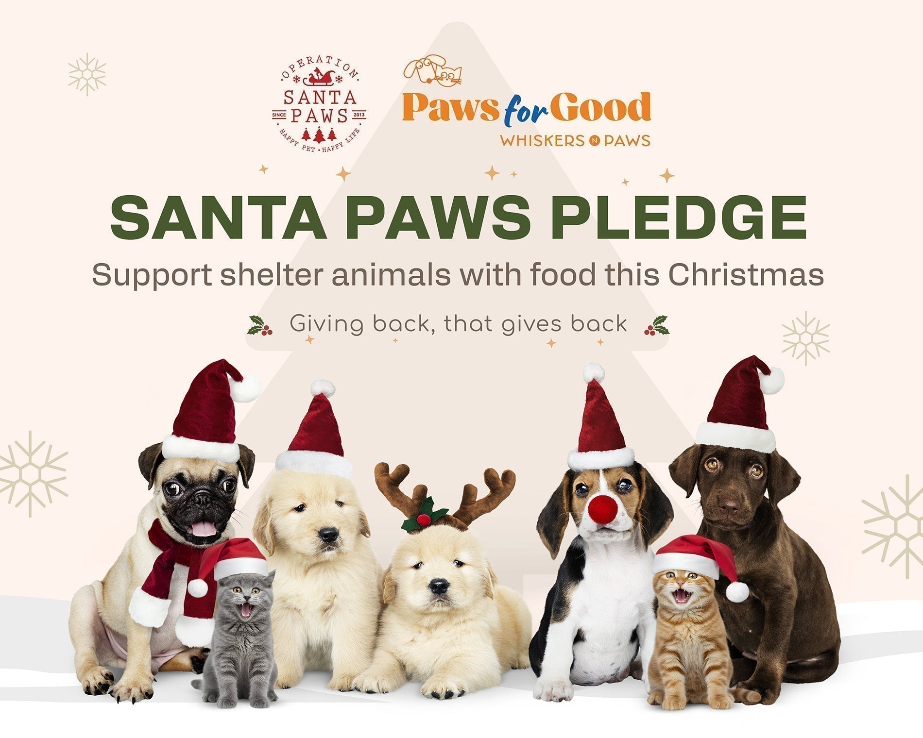 Support Santa Paws Pledge this Christmas