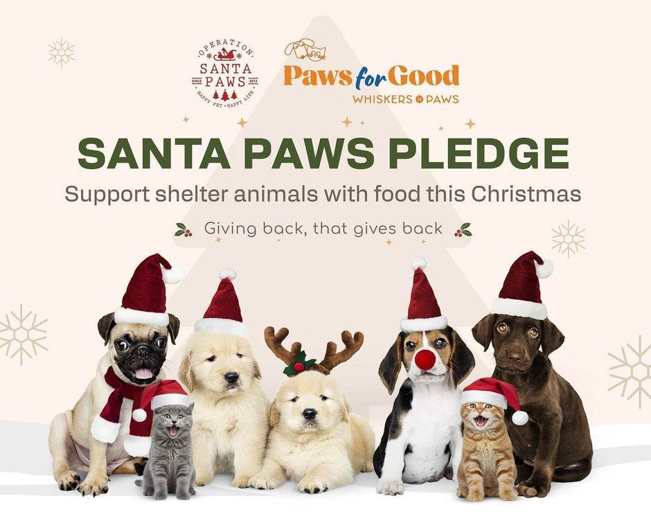 Support Santa Paws Pledge this Christmas