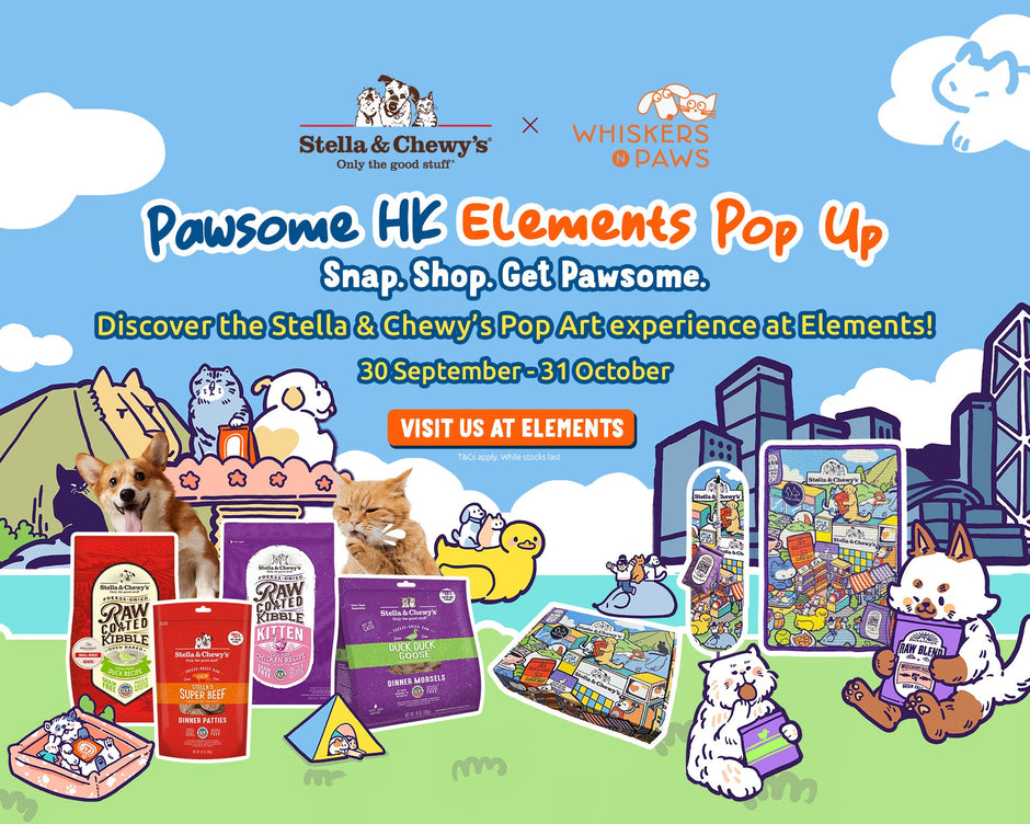 Pawsome HK: Stella & Chewy’s × Whiskers N Paws × Simple Bao Elements Pop-Up