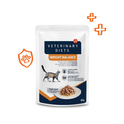 Cat Vet Diet Products