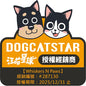 Dog Cat Star