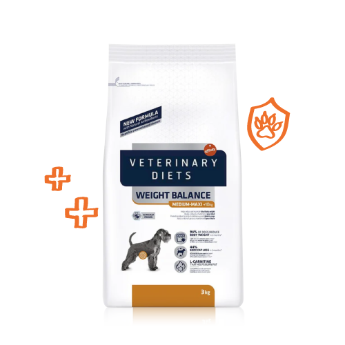 Dog Vet Diet Products