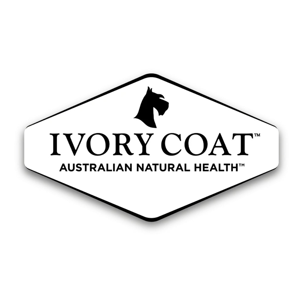 Ivory Coat - Frozen