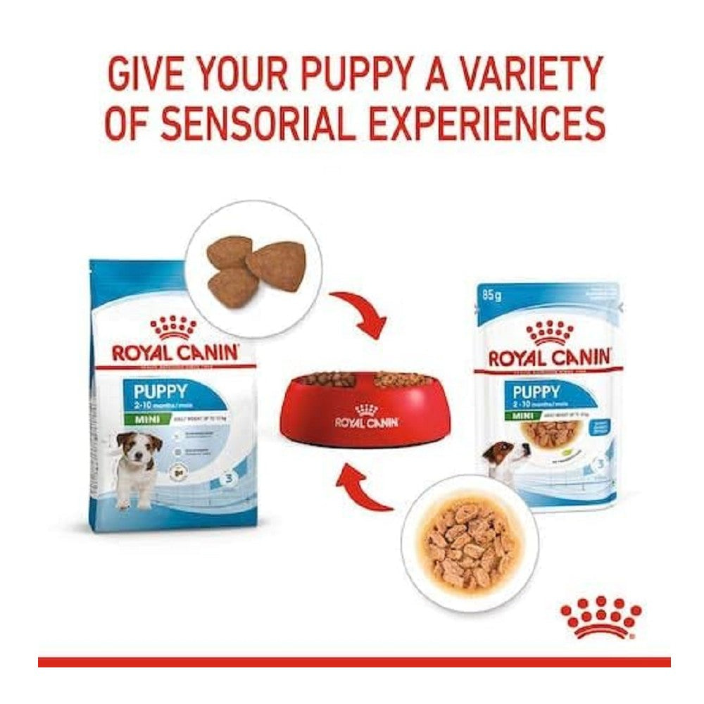 Royal Canin SHN 小型幼犬肉汁主食濕糧