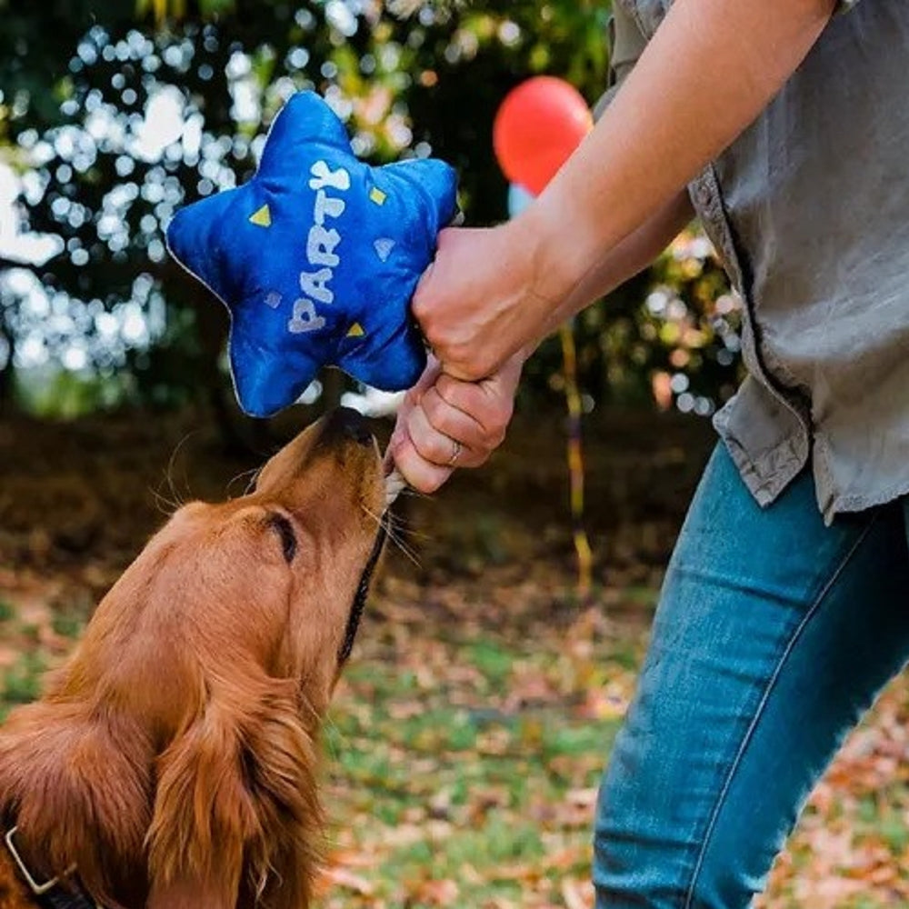 P.L.A.Y 派對時光系列 - 狗狗最棒的一天氣球毛絨玩具