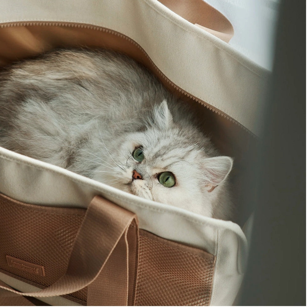 Subway 小型寵物袋