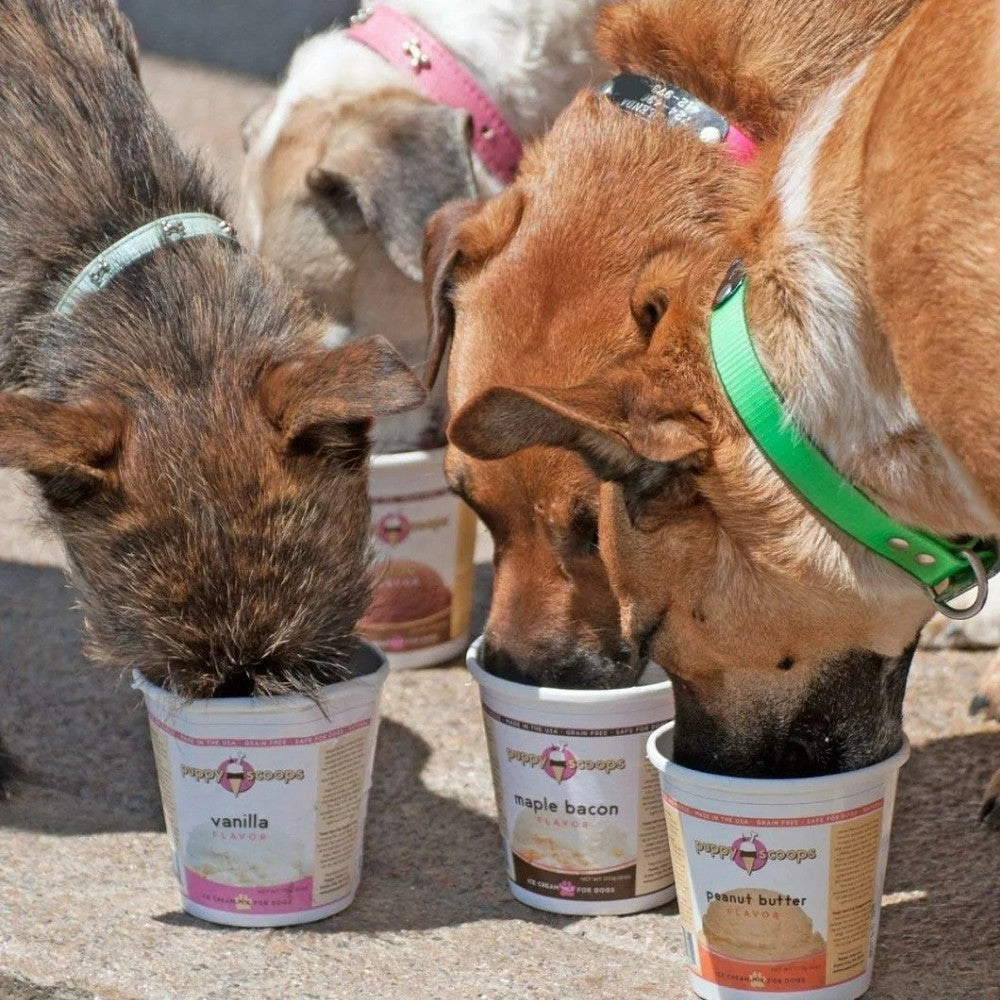 Puppy Scoops 楓糖煙肉味狗狗混合雪糕杯