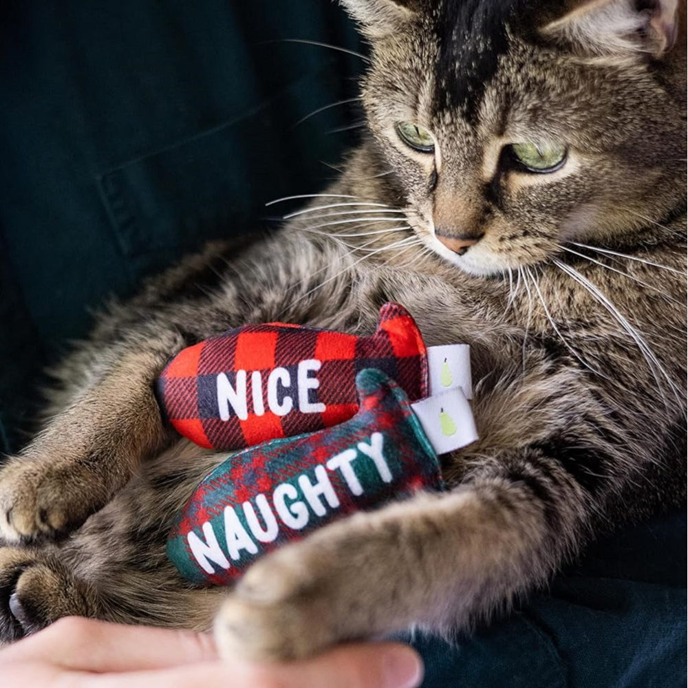 聖誕頑皮淘氣乖巧貓貓玩具套裝