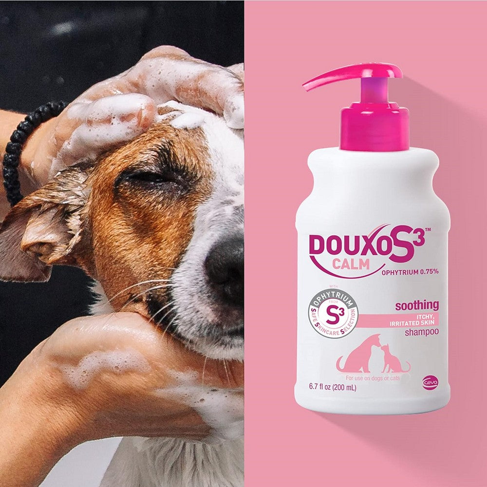 CEVA-Douxo  過敏皮膚止癢貓狗洗毛液