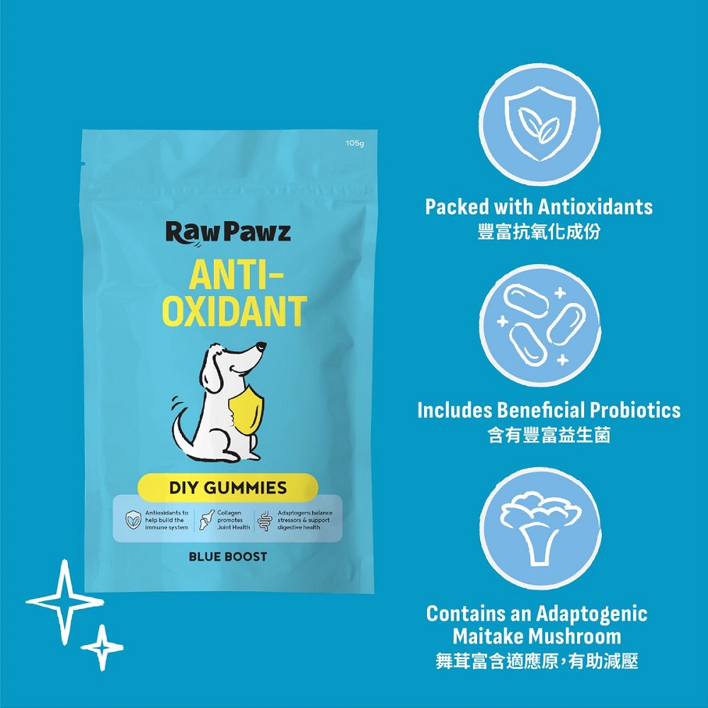 Raw Pawz 超級藍莓 DIY 啫喱粉