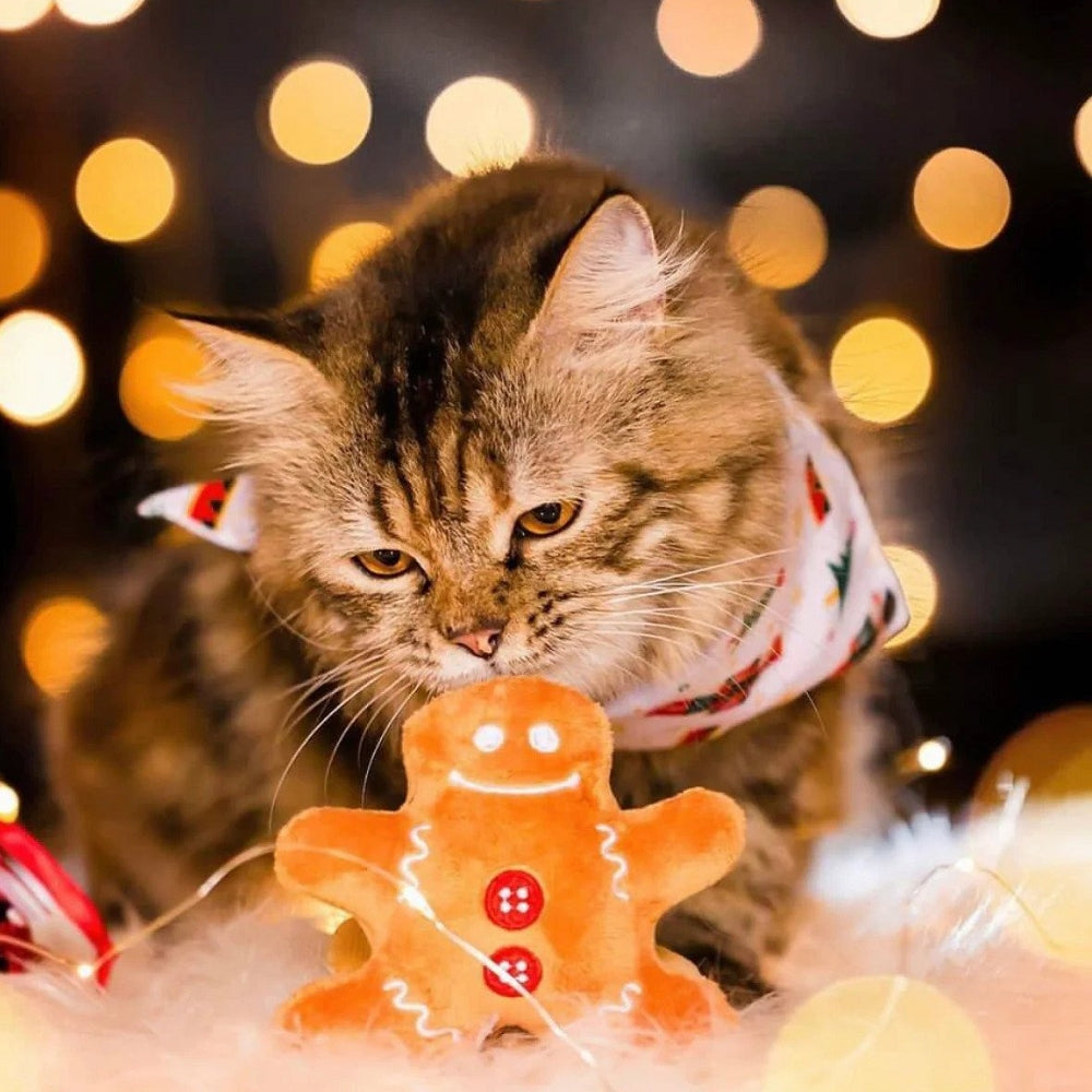 聖誕狂歡聖誕樹和薑餅人貓玩具套裝