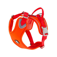 Weekend Warrior 環保狗狗胸帶