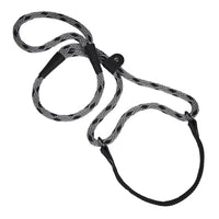 Mendota 犬行者項圈及牽引繩