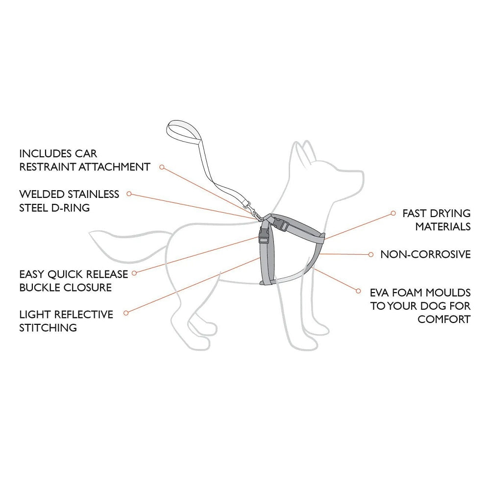 狗體工學胸背帶