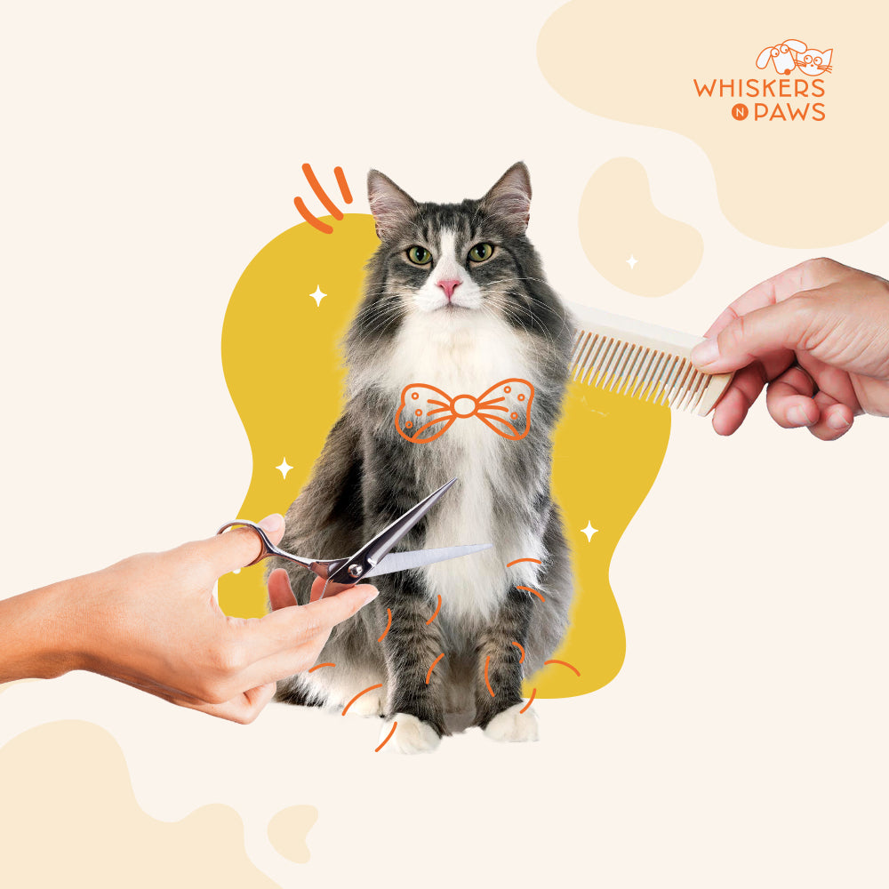 Whiskers N Paws - Pet Grooming Services for Cats