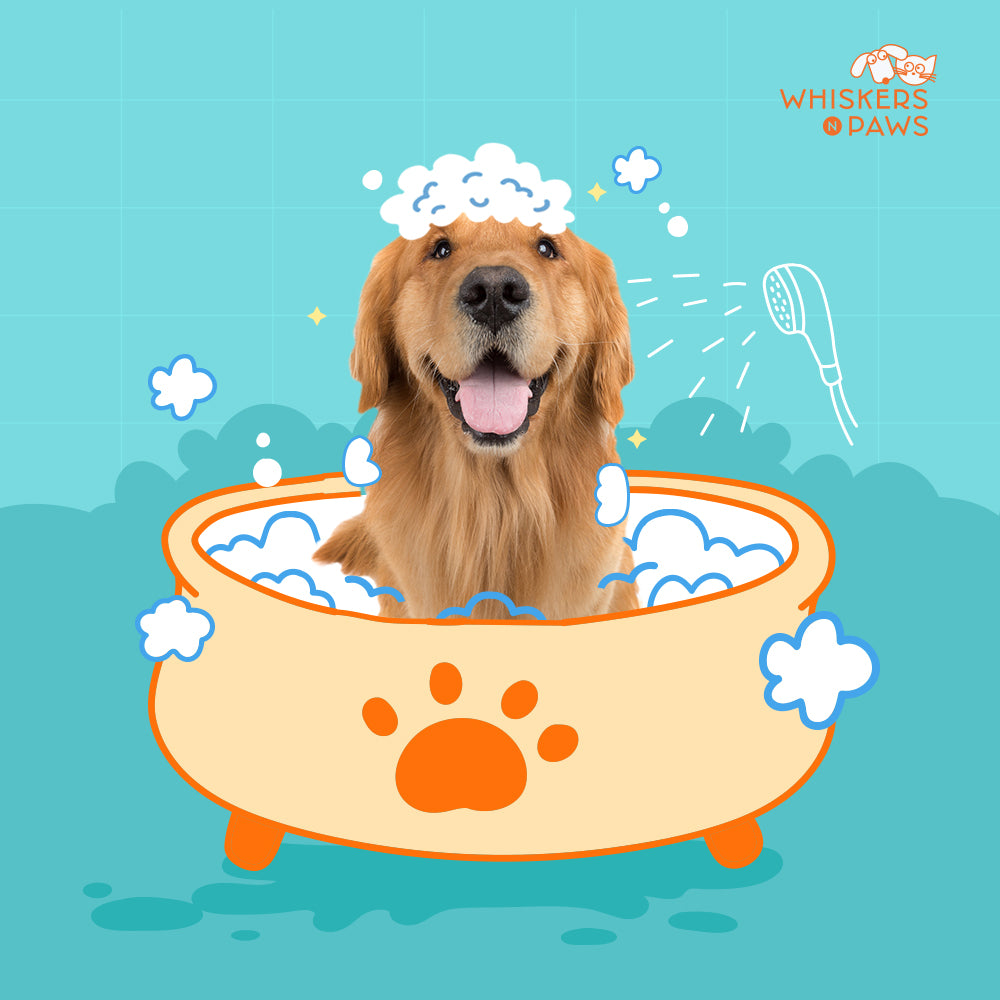 Whiskers N Paws - Self-Dog Wash