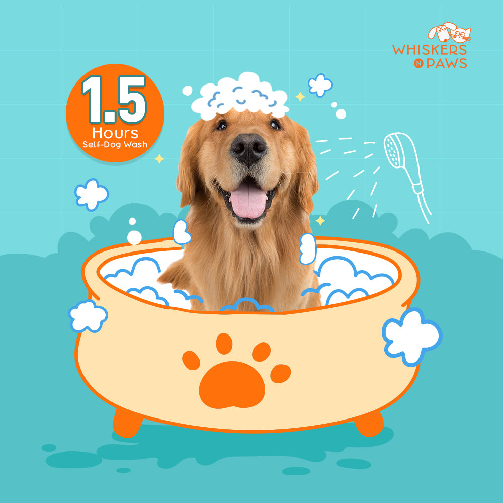 Whiskers N Paws - Self-Dog Wash - 1.5 Hours