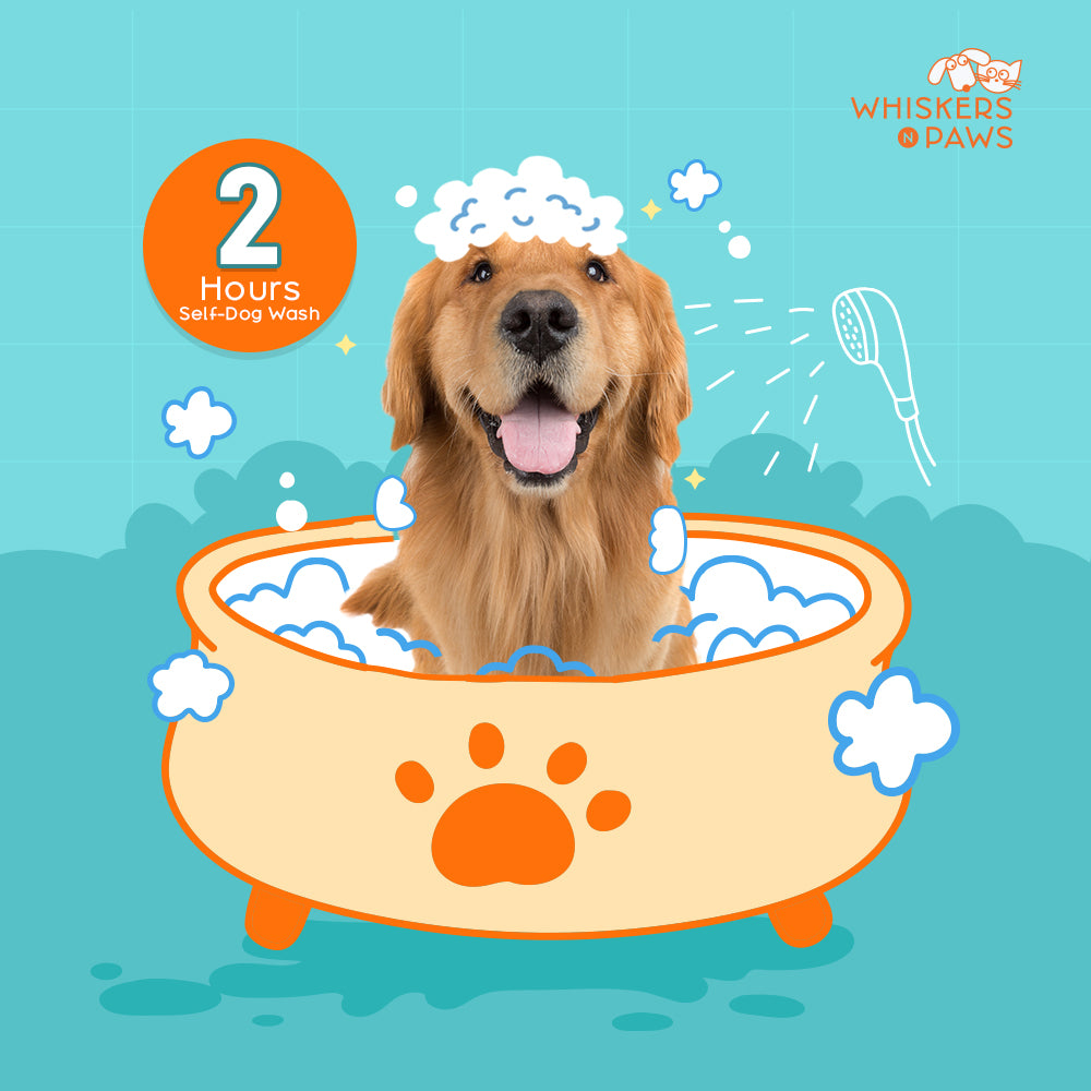 Whiskers N Paws - Self-Dog Wash - 2 Hours