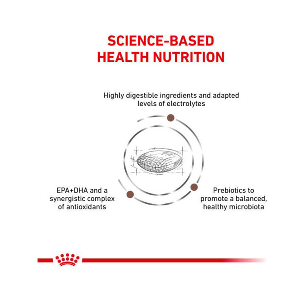 VHN 腸胃低脂成犬乾糧