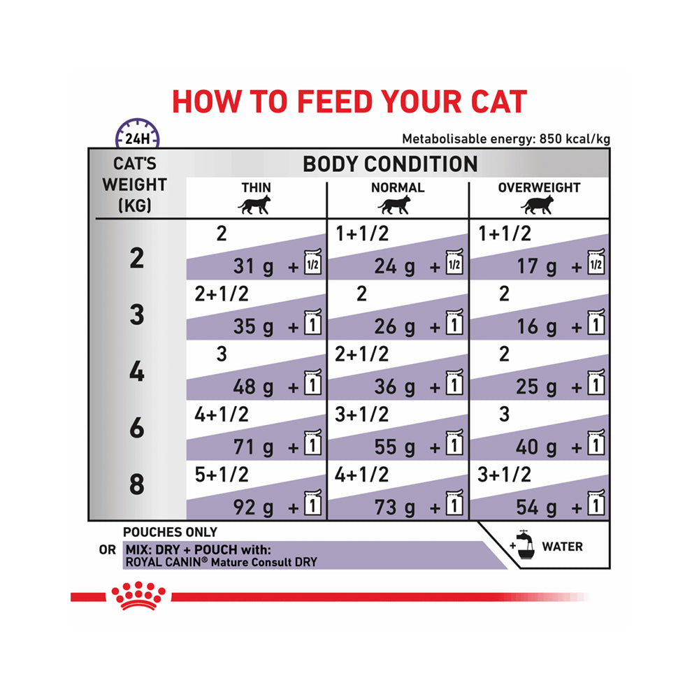 VHN 成貓熟齡保健濕包