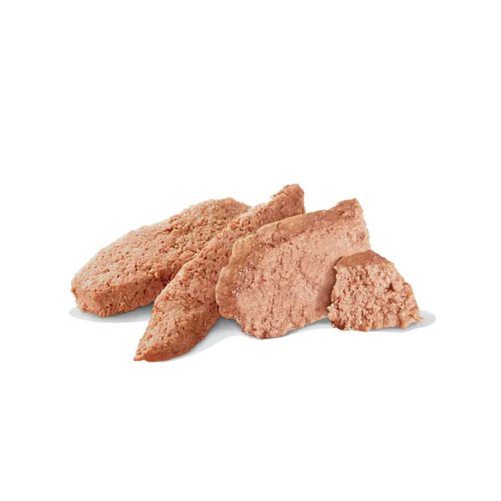 VHN 低敏成年犬罐頭（慕絲）