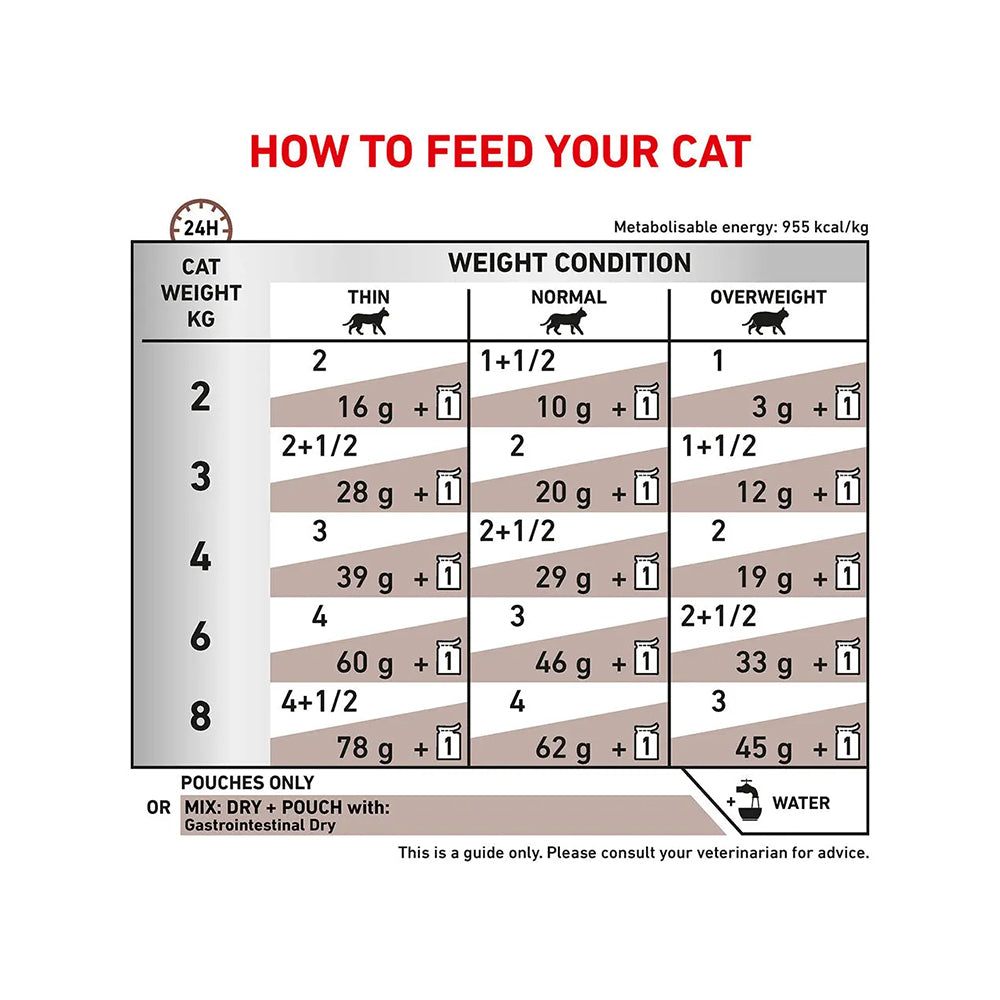 VHN 腸胃護理貓濕包