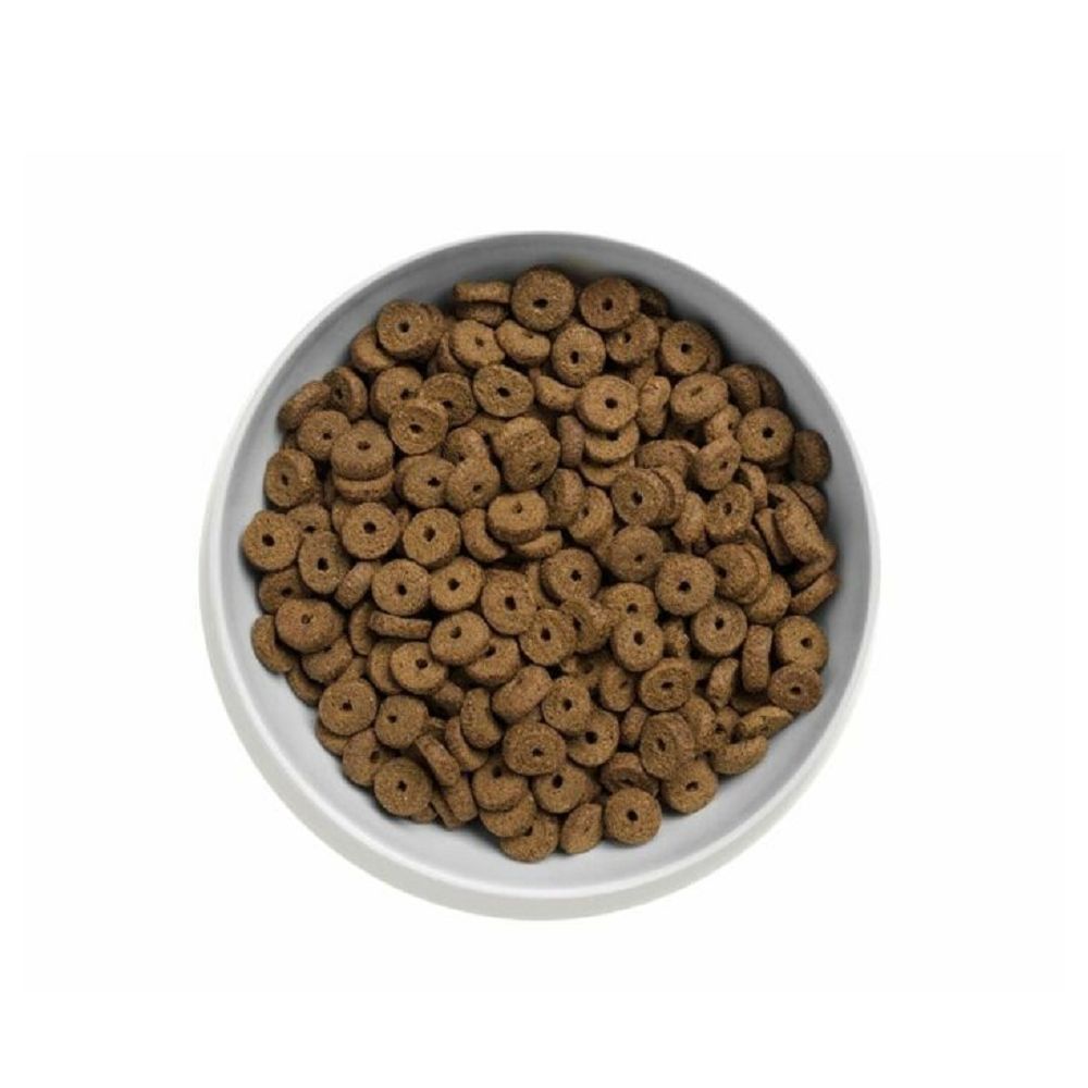 無穀物雞肉體重控制 & 老貓乾糧