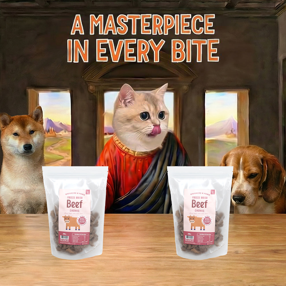 Whiskers N Paws 凍乾牛肉丁零食 適用於貓狗