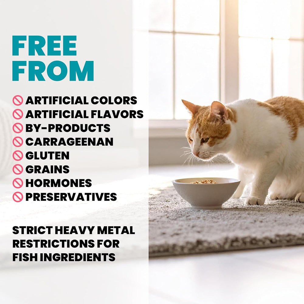 Almo Nature HQS 免疫護理雞肉藍莓肉汁成貓濕糧