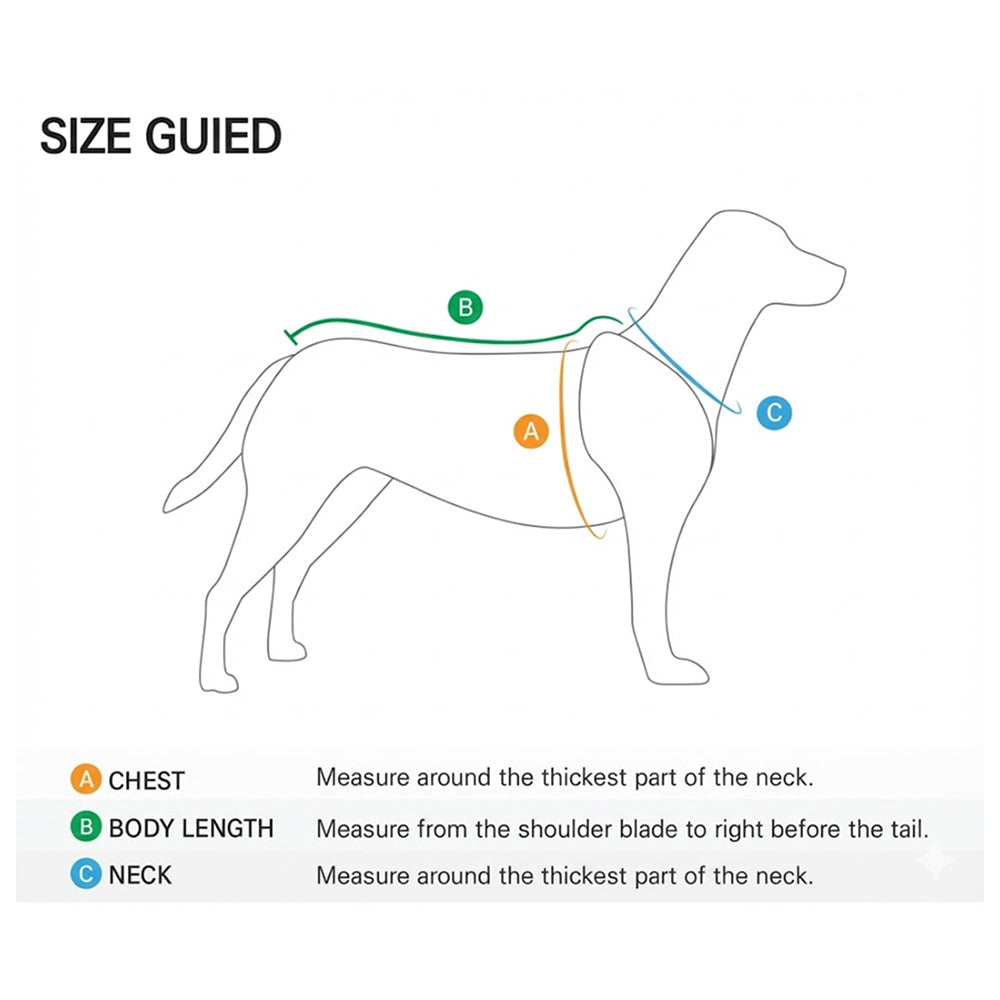 極光反光連帽衛衣