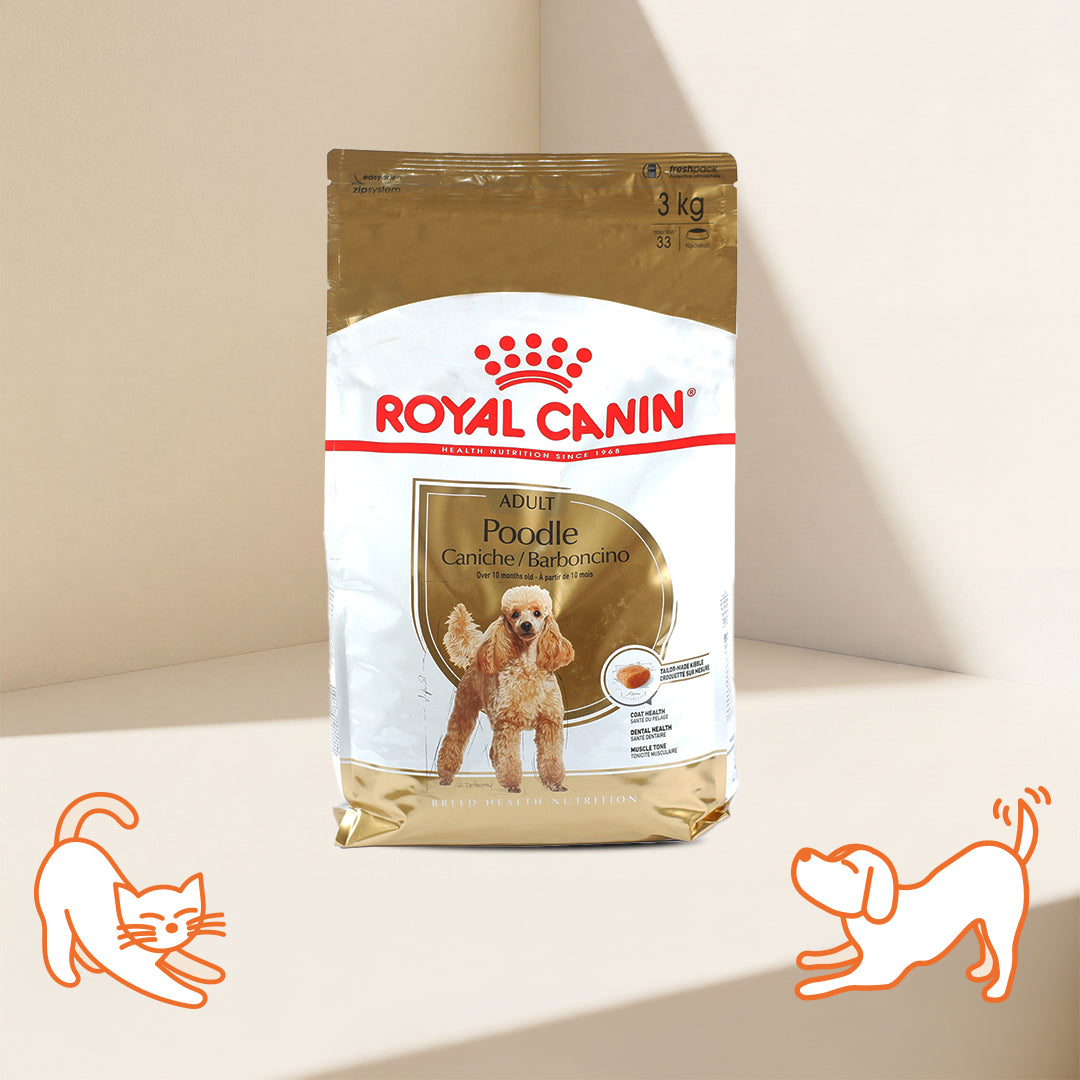 BHN 貴賓犬成犬乾糧