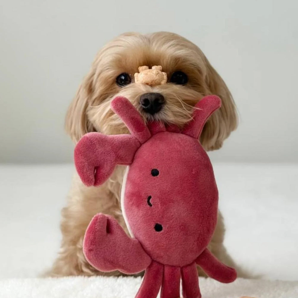 辣椒蟹 凍乾狗貓小食