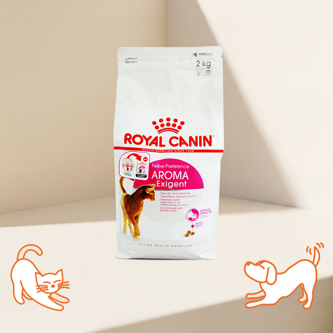 Royal Canin FHN 濃郁香味挑嘴配方成貓糧