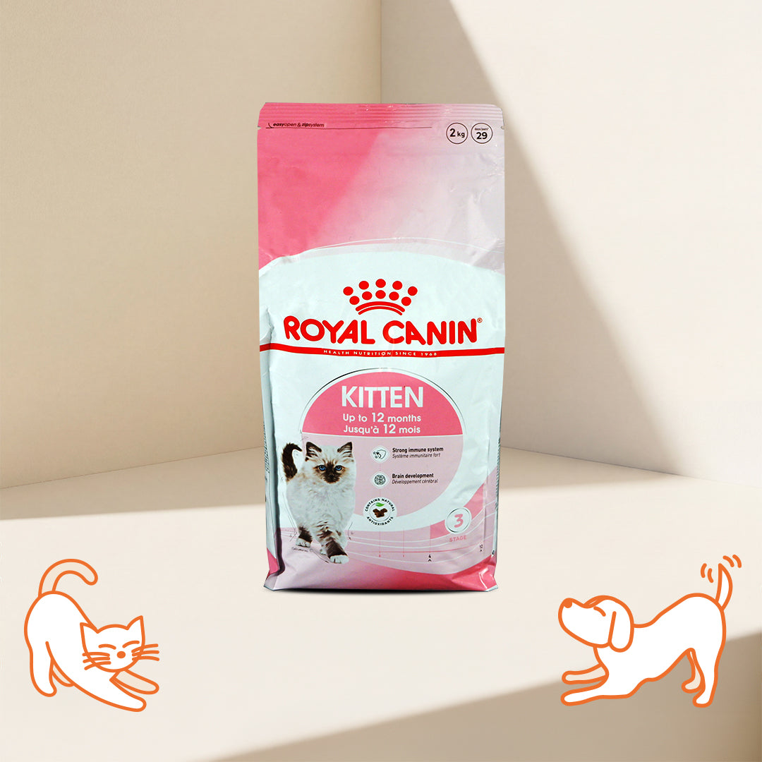 Royal Canin FHN 營養配方幼貓乾糧