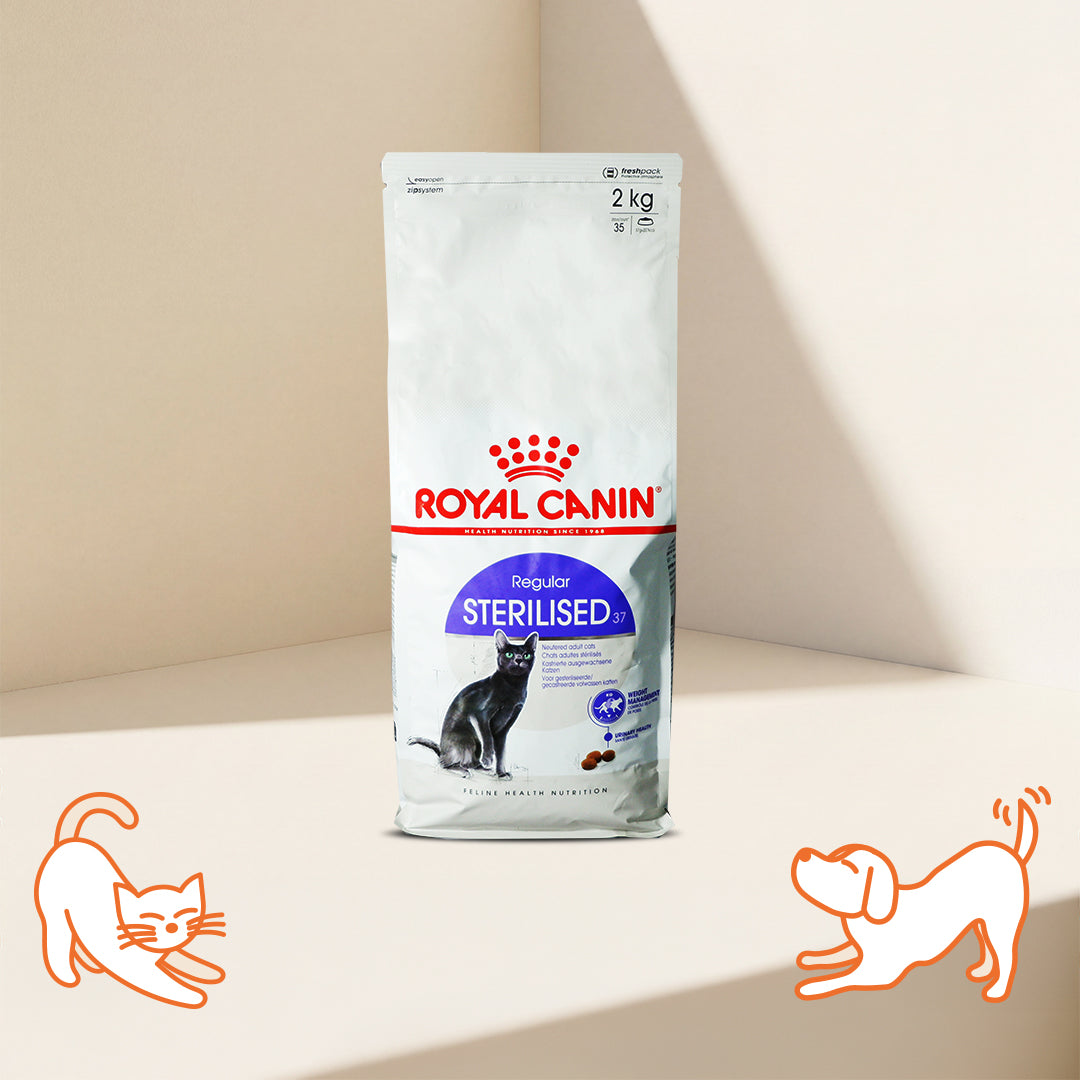 Royal Canin FHN 絕育成貓配方成貓糧