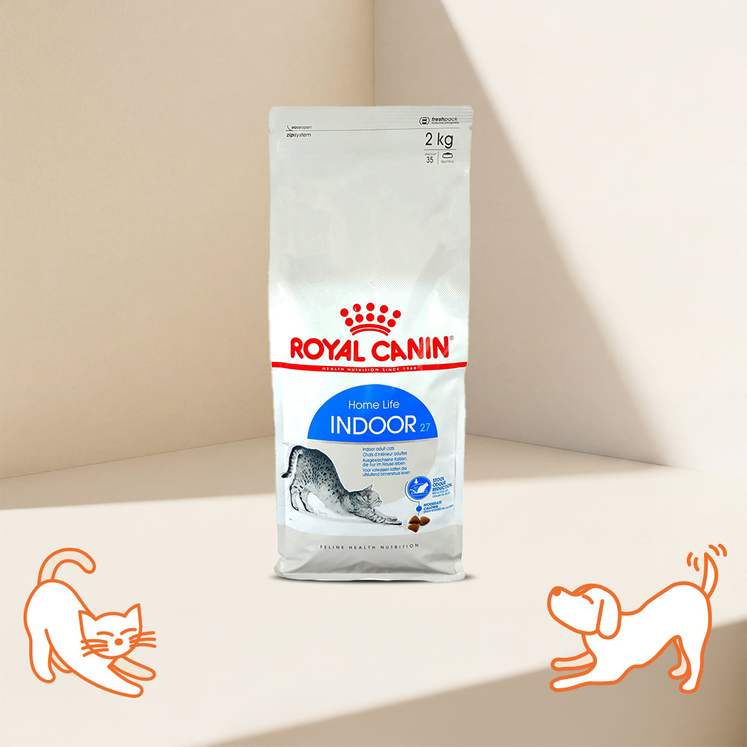 Royal Canin FHN 室內成貓營養配方成貓糧