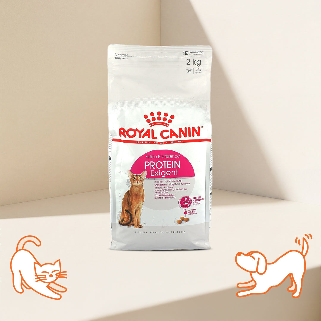 Royal Canin FHN 加强蛋白挑嘴配方成貓糧