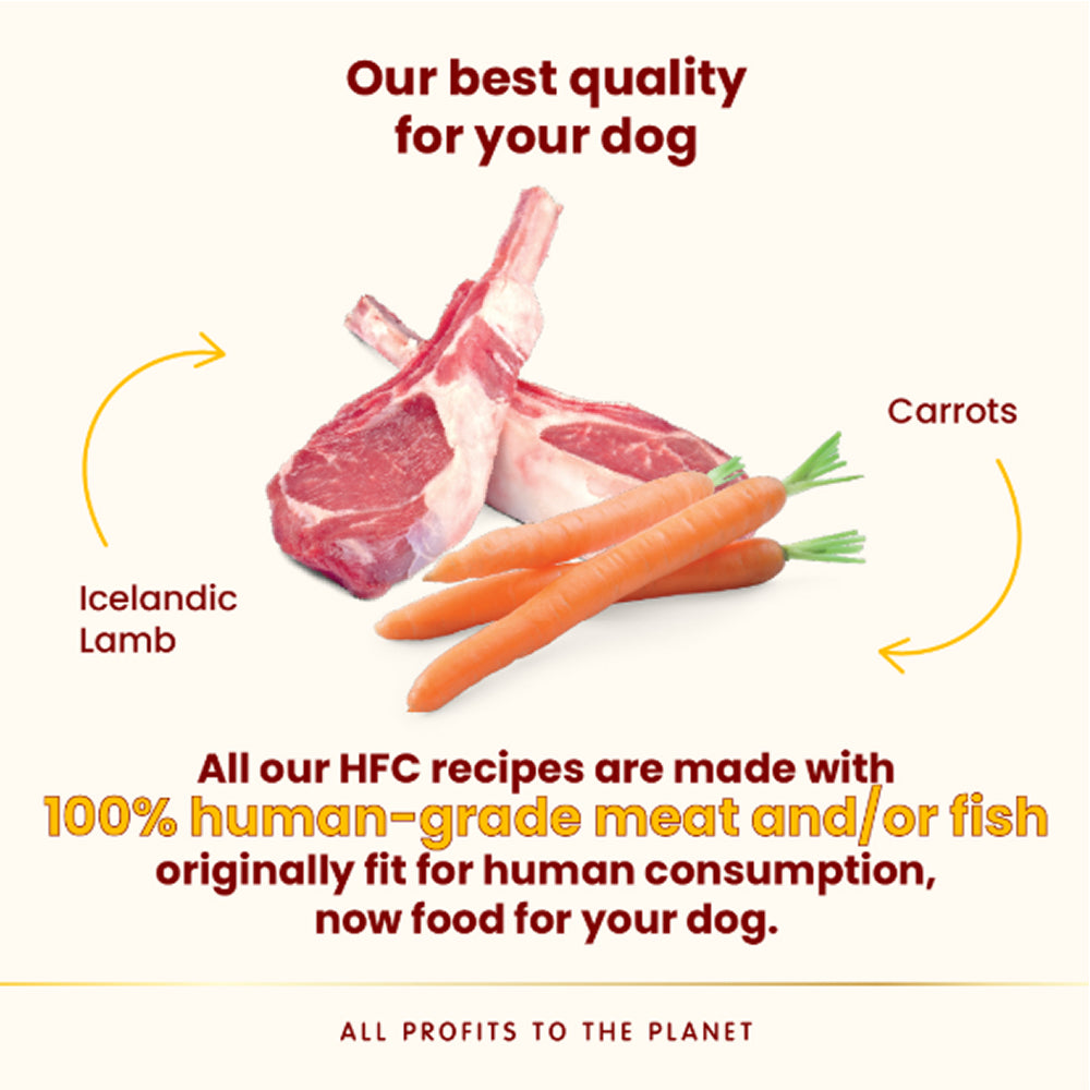 HFC Complete 冰島羊肉紅蘿蔔狗罐頭