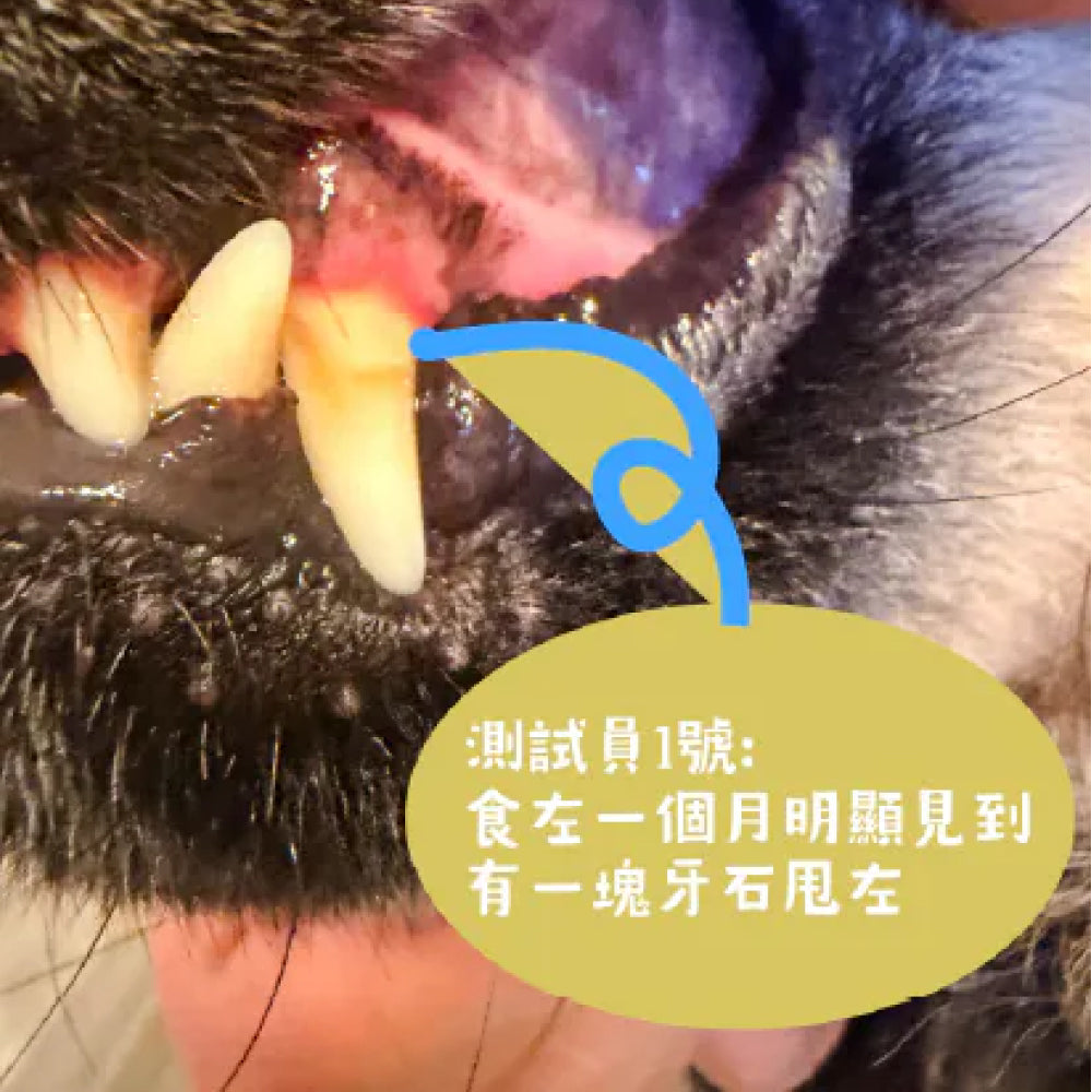 Ocean Gold 全鮮魚狗狗潔齒零食
