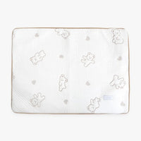 IT'S DOG - 小熊Forpe涼墊（狗狗及貓貓適用）